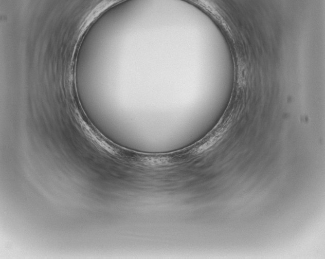 X0000060270802200511112045