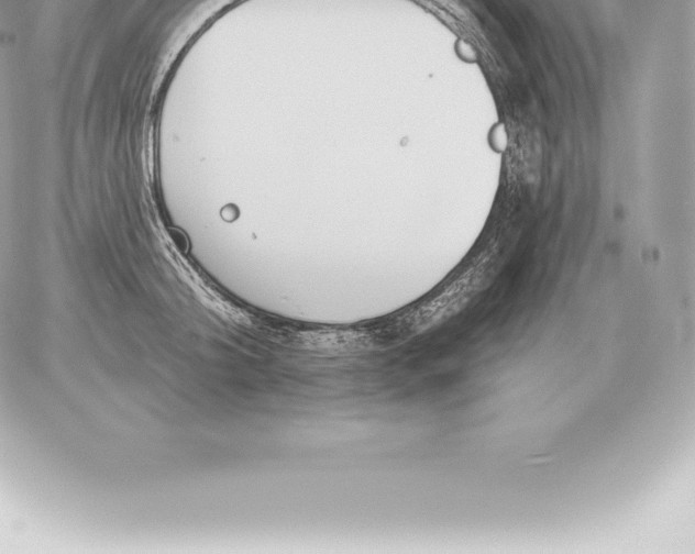 X0000060270804200511112045