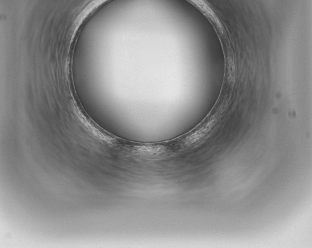 X0000060270805200511112045