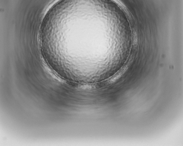 X0000060270806200511112045