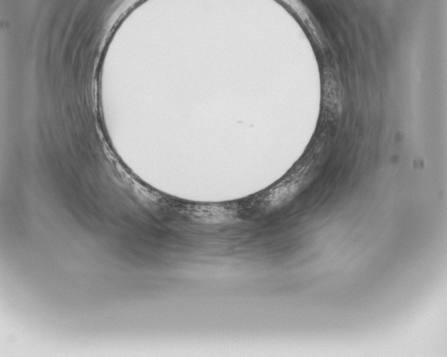 X0000060270807200511112045