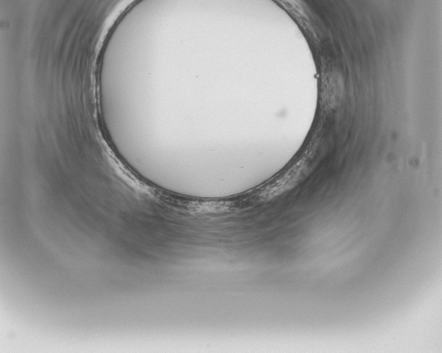 X0000060270808200511112045