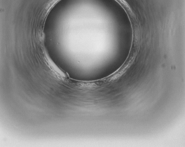 X0000060270809200511112045