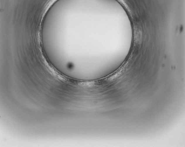 X0000060270810200511112045