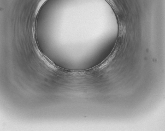 X0000060270812200511112045