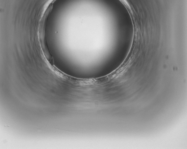 X0000060270813200511112045