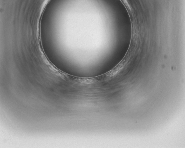 X0000060270815200511112045