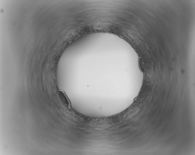 X0000060270817200511112044