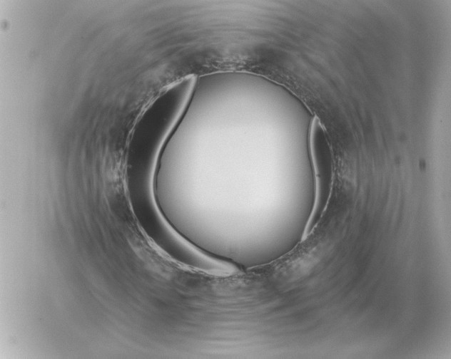 X0000060270818200511112044