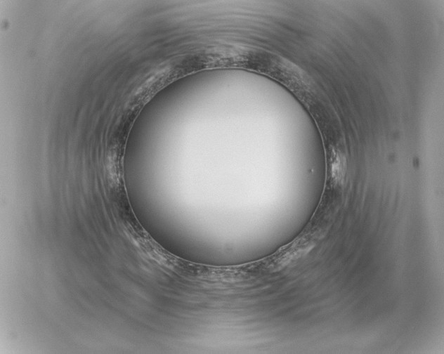 X0000060270819200511112044