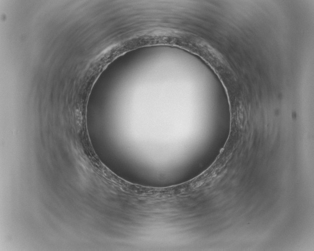 X0000060270821200511112044