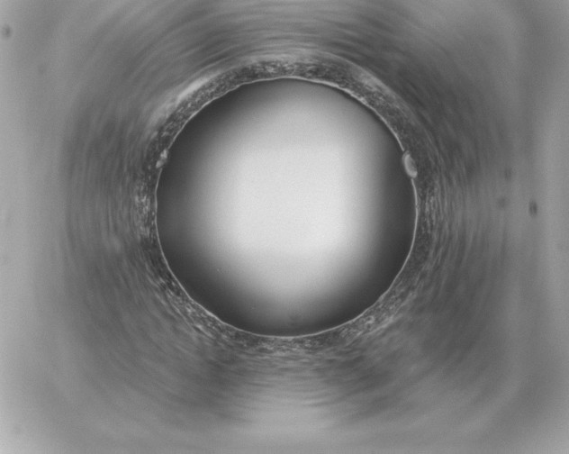 X0000060270822200511112044