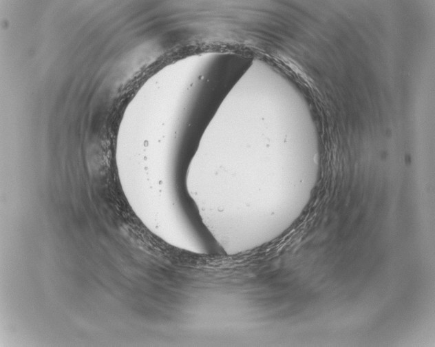 X0000060270824200511112045