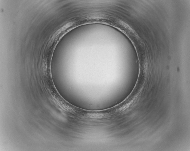 X0000060270825200511112045