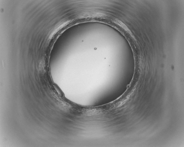 X0000060270826200511112045