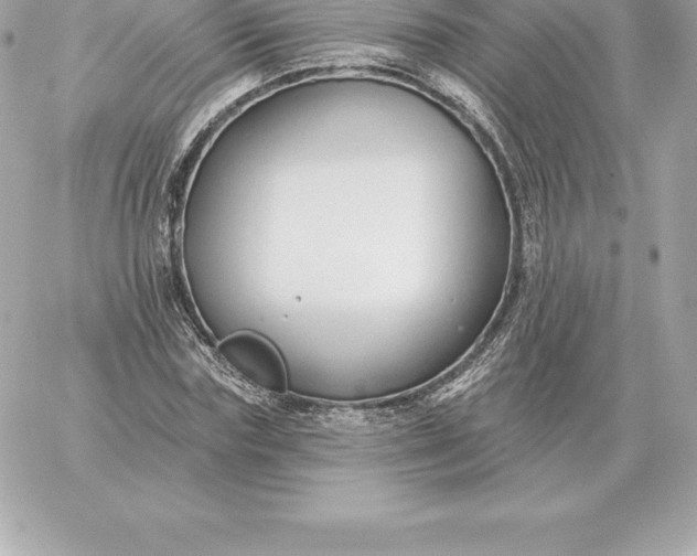 X0000060270827200511112045