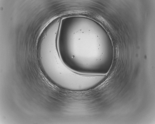 X0000060270828200511112045