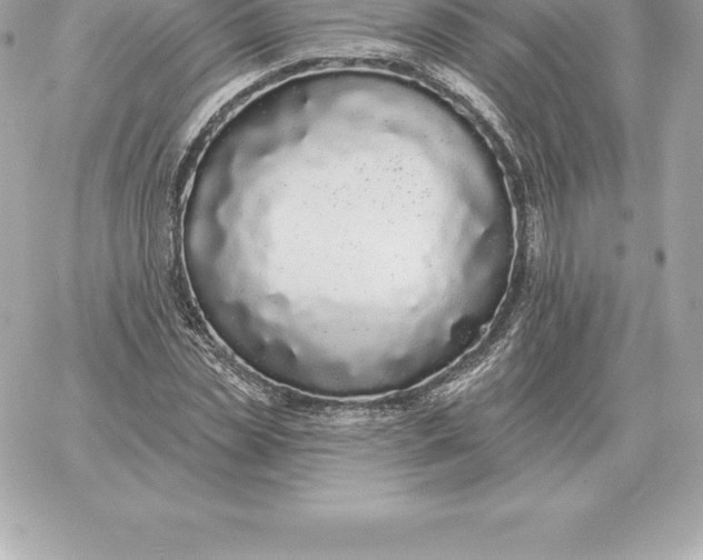 X0000060270829200511112045