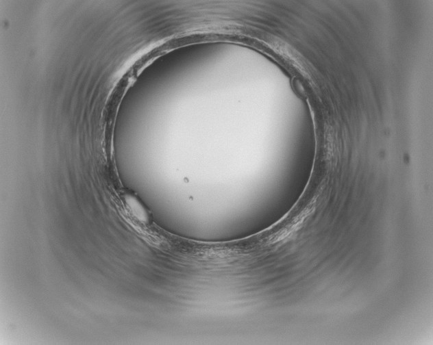 X0000060270830200511112045