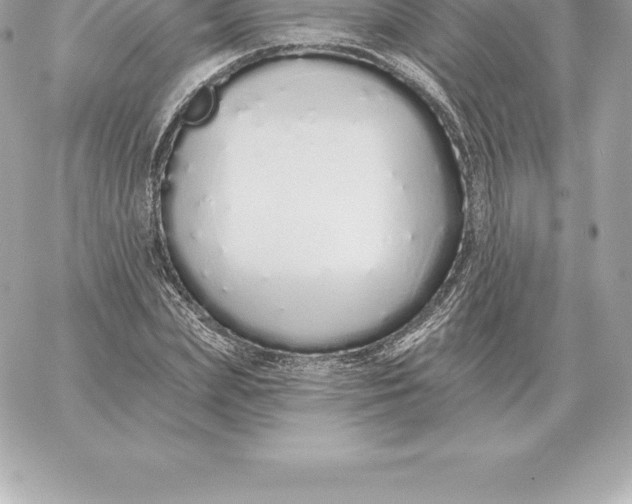 X0000060270831200511112045