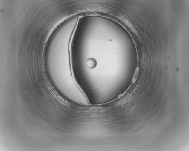 X0000060270832200511112045