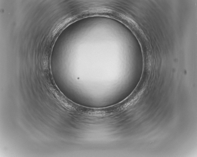 X0000060270833200511112045