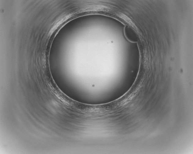 X0000060270834200511112045