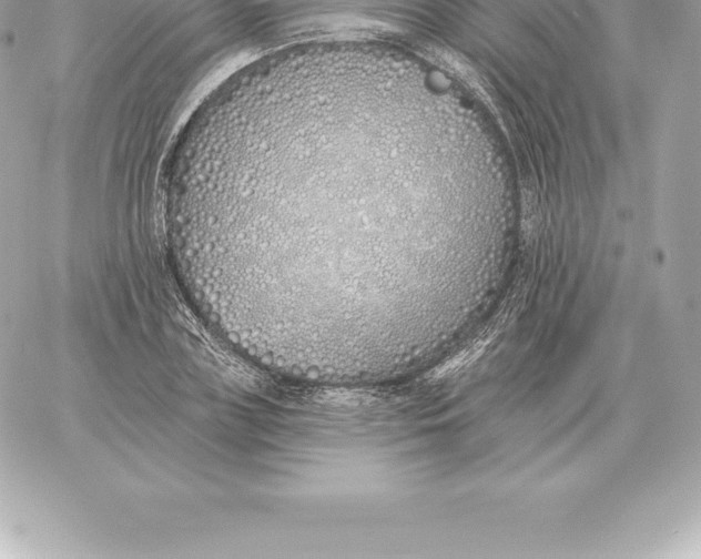 X0000060270835200511112045