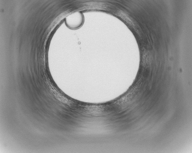 X0000060270836200511112045