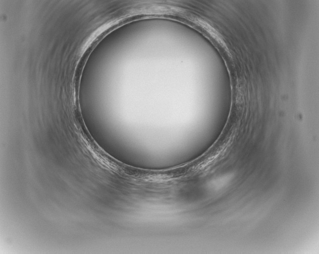 X0000060270837200511112045