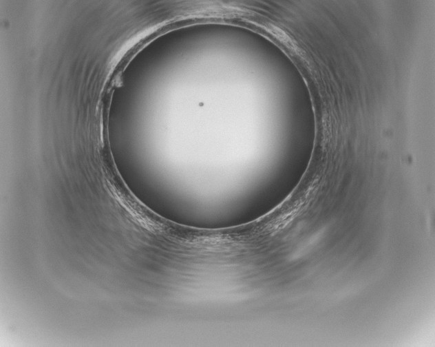 X0000060270838200511112045