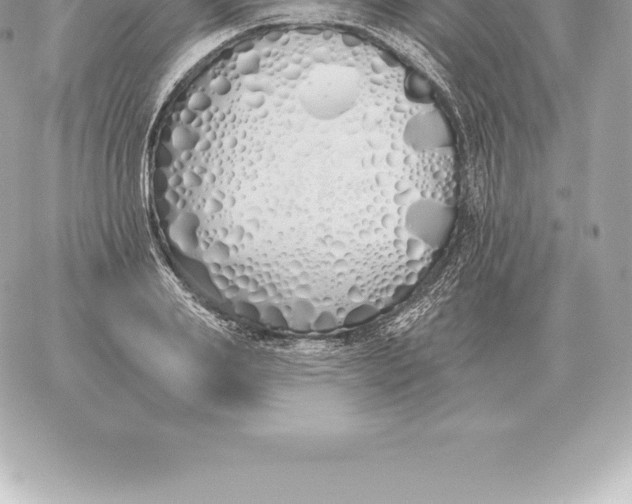 X0000060270839200511112045