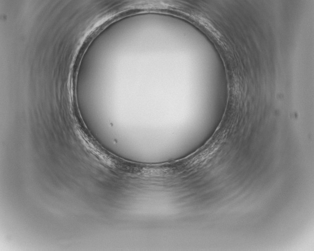 X0000060270840200511112045