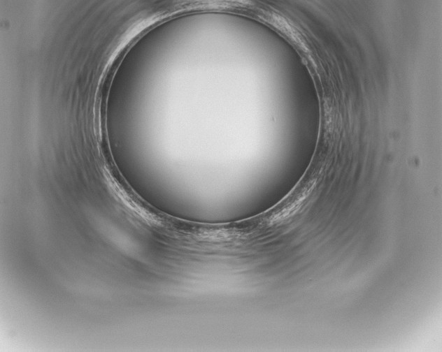 X0000060270843200511112045