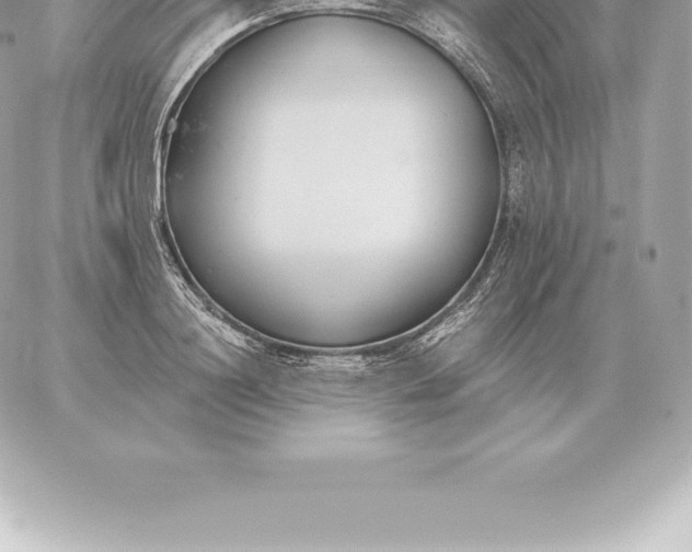 X0000060270844200511112045