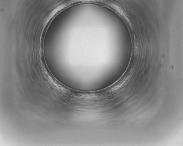 X0000060270845200511112045