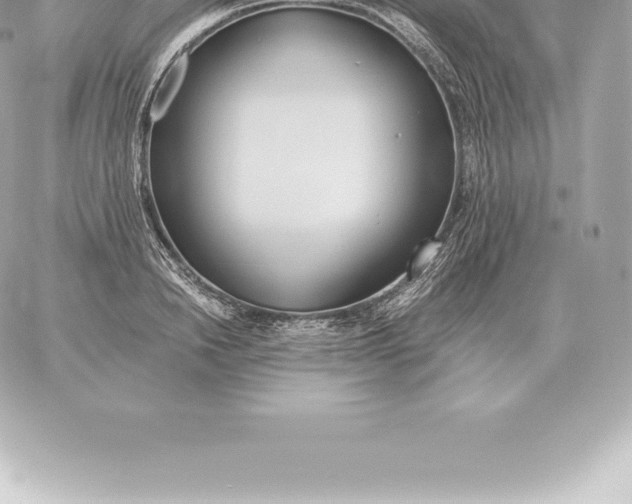 X0000060270846200511112045