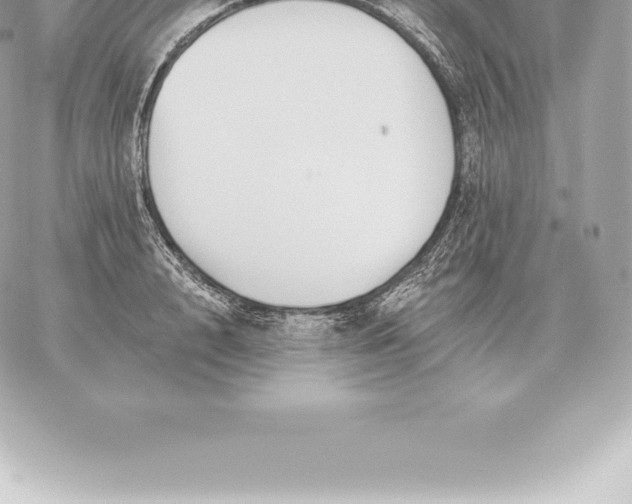 X0000060270848200511112045