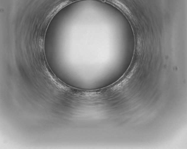 X0000060270849200511112045