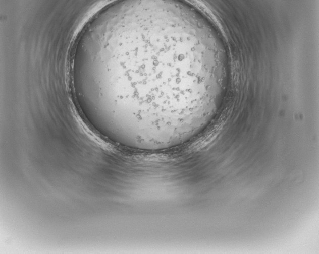 X0000060270851200511112045