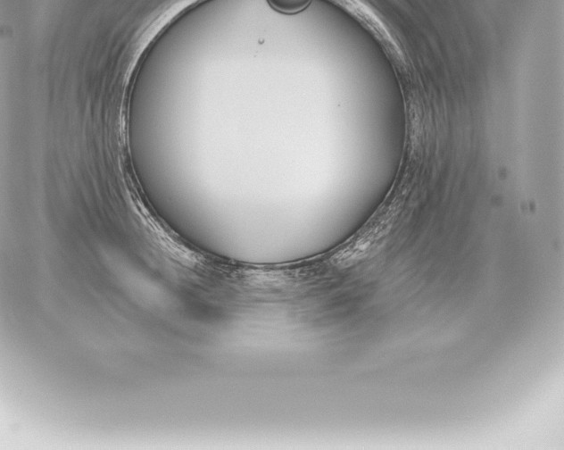 X0000060270852200511112045