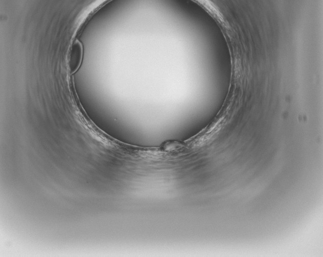 X0000060270854200511112045