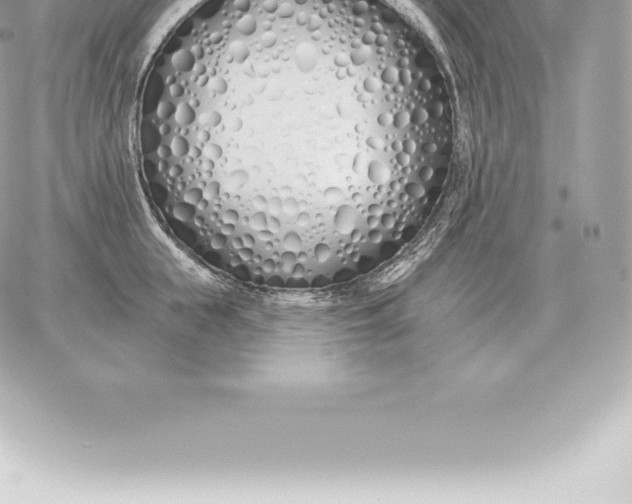 X0000060270855200511112045