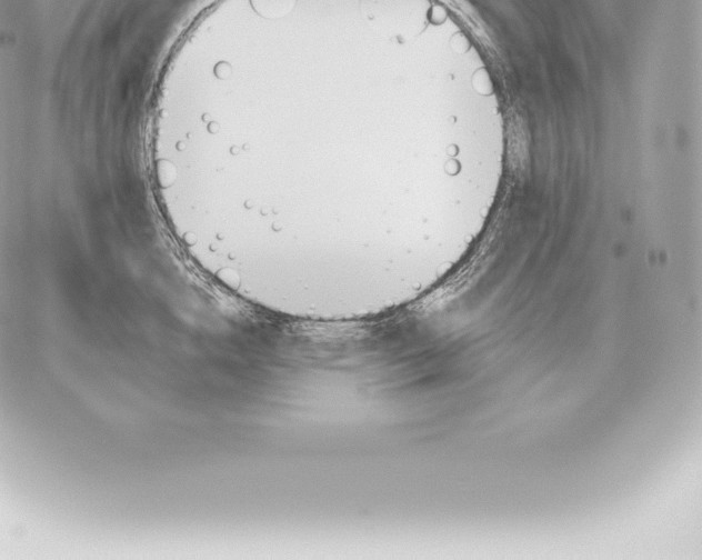 X0000060270856200511112045