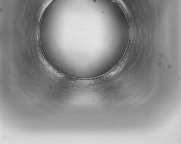 X0000060270860200511112045