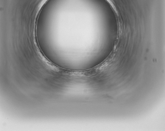 X0000060270861200511112045