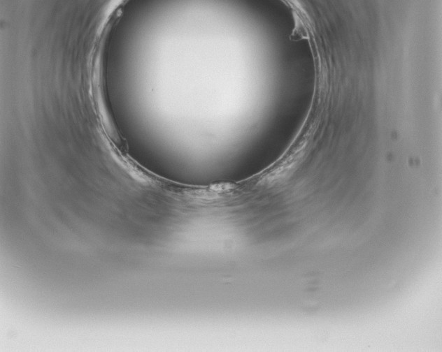 X0000060270862200511112045