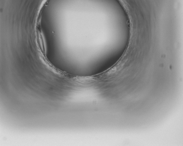 X0000060270864200511112045