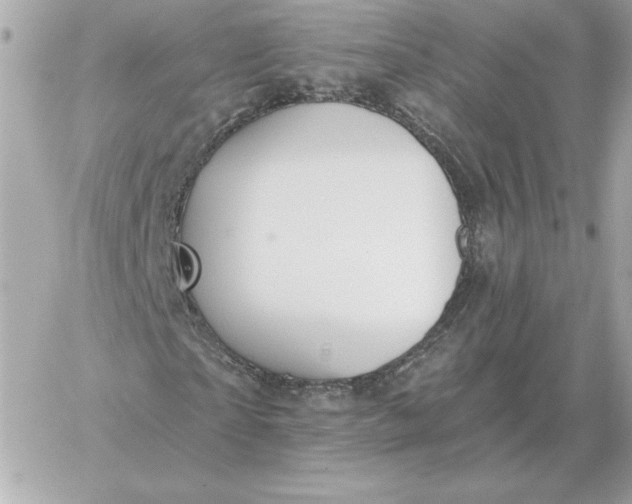 X0000060270865200511112044