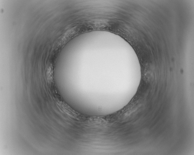 X0000060270866200511112044